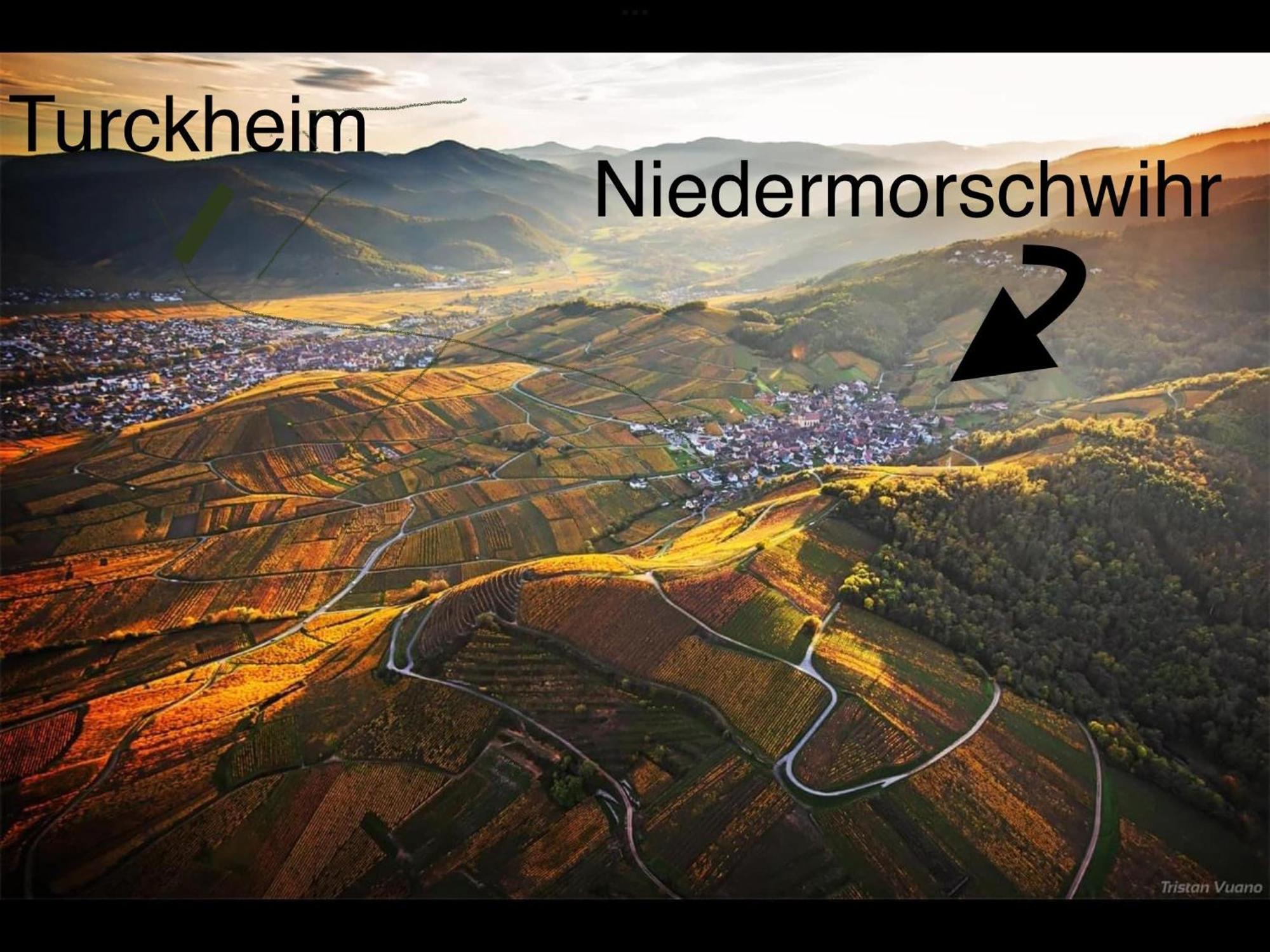Caveau 1751 Niedermorschwihr Exteriör bild