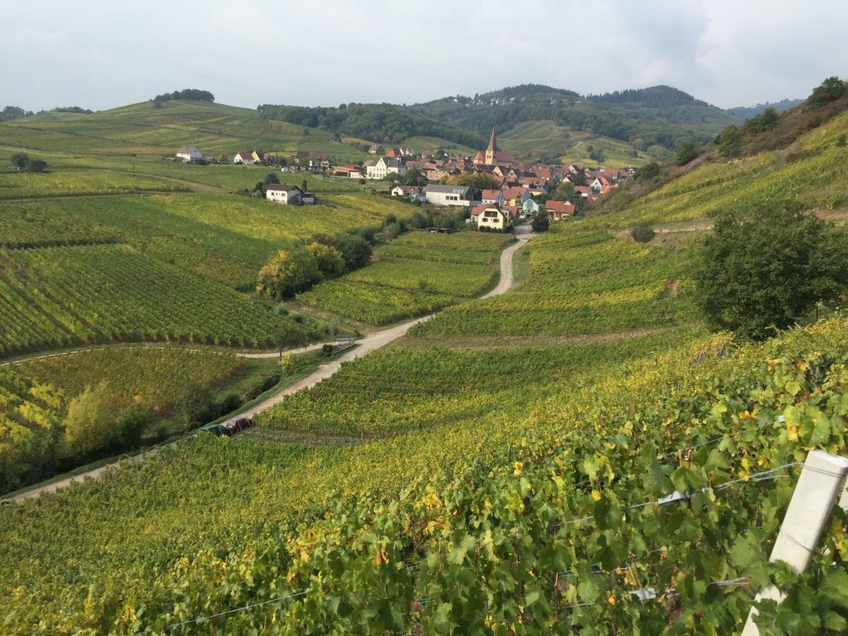Caveau 1751 Niedermorschwihr Exteriör bild
